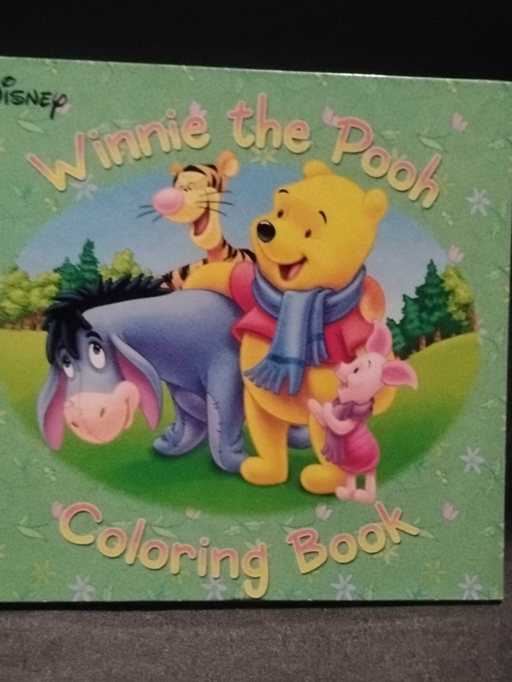 Disney Winnie the Pooh Green Coloring Book with Yellow Pooh